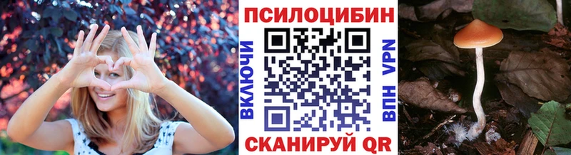 Псилоцибиновые грибы MAGIC MUSHROOMS  Сыктывкар 