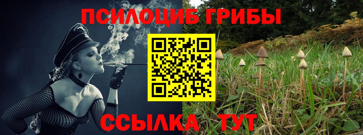 Псилоцибиновые грибы Magic Shrooms Сыктывкар