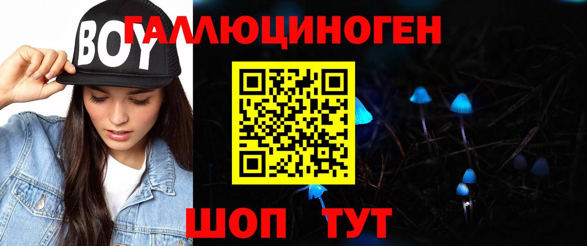 Сыктывкар  Псилоцибиновые грибы Cubensis  Вход с VPN 