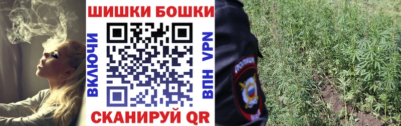 купить наркотик  Сыктывкар  Бошки Шишки тримм 